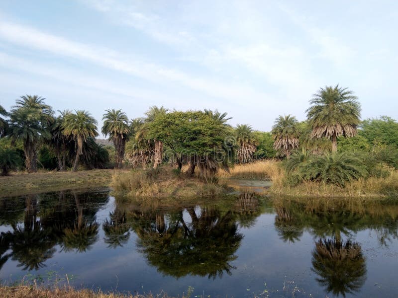 Van Vihar National Park Bhopal royaltyfri bild Van Vihar National Park Bhopal royaltyfri bild