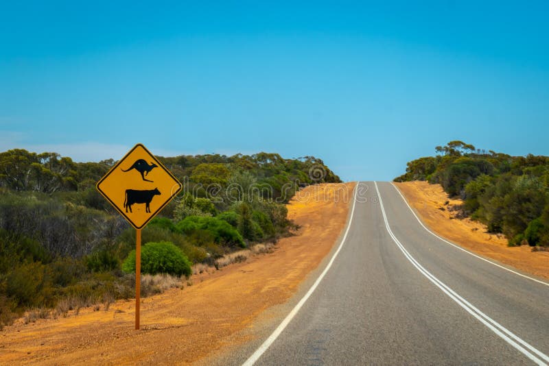 Van waarschuwingskangoeroes en koeien de straat ondertekent op Australische struikweg dichtbij Billa Bong Roadhouse royalty-vrije stock afbeelding Van waarschuwingskangoeroes en koeien de straat ondertekent op Australische struikweg dichtbij Billa Bong Roadhouse royalty-vrije stock afbeelding