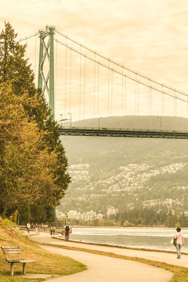 View of Lions Gate Bridge from Stanley Park