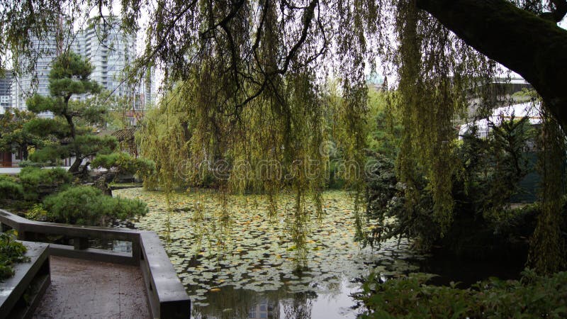 VANCOUVER, KANADA - SEPTEMBER 2014: Dr. Klassischer Chinesischer Garten
