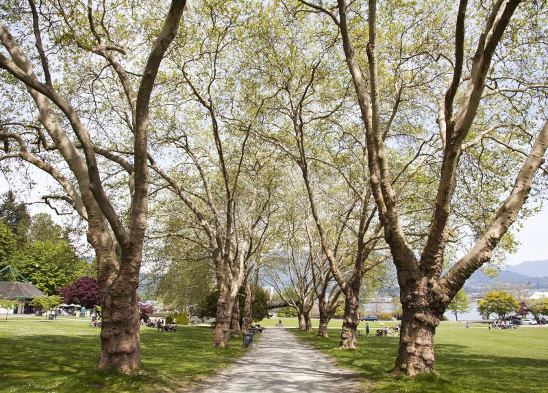 Vancouver`s Park Alley