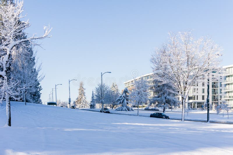 VANCÔVER, CANADÁ - 24 de fevereiro de 2018: Manhã do inverno após uma noite da rua de Cambie do blizzard da neve imagem de stock VANCÔVER, CANADÁ - 24 de fevereiro de 2018: Manhã do inverno após uma noite da rua de Cambie do blizzard da neve imagem de stock