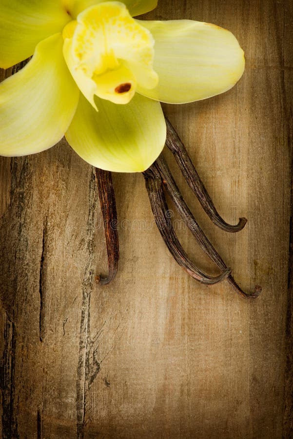 Vaniljfröskidor och blomma royaltyfria foton