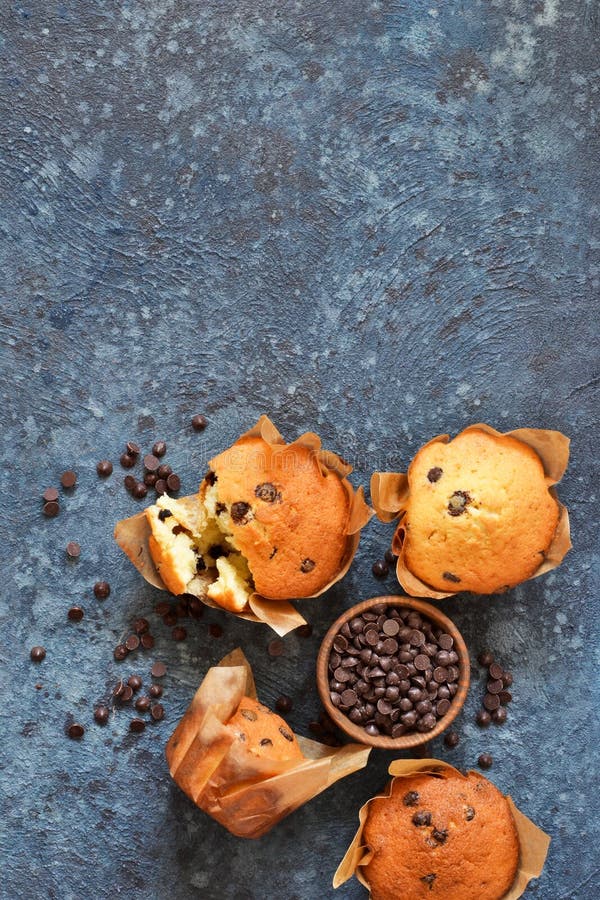 Vaniljmuffin i pappers- form med chokladdroppar på en konkret bakgrund ovanför sikt