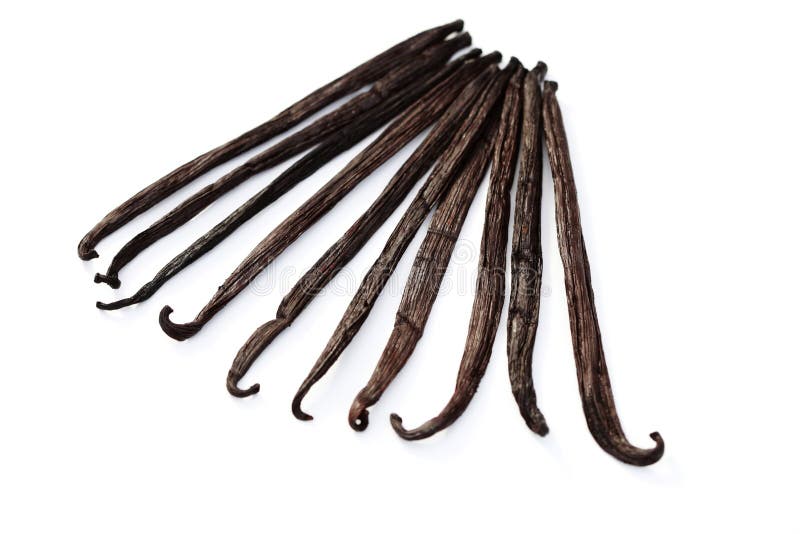 Vanilla beans bundle stock photo. Image of isolated, sweet 14690842
