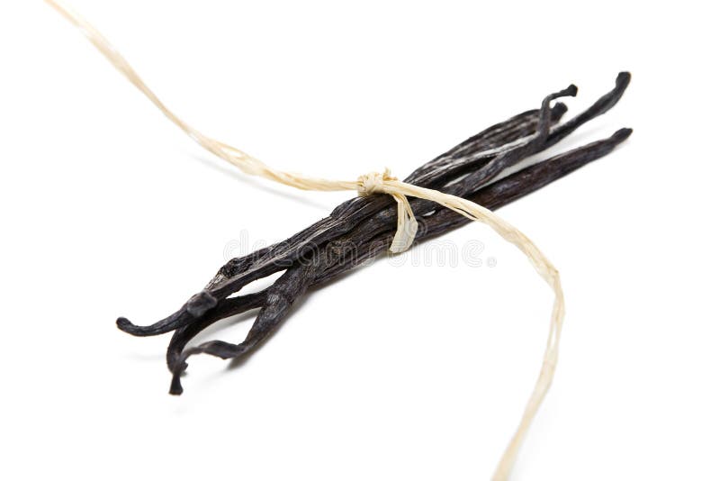Vanilla beans stock photo. Image of natural, spice, drink 13755202
