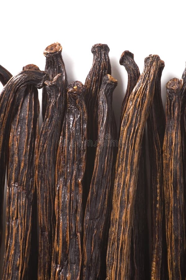 Vanilla beans