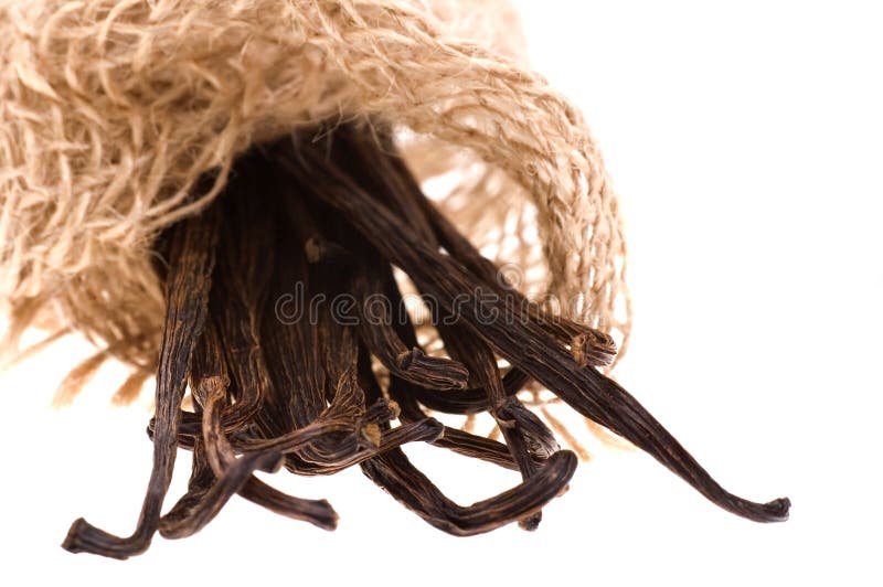 Vanilla Beans With Aromatic Sugar, Milk And Flower Stock Photo Image