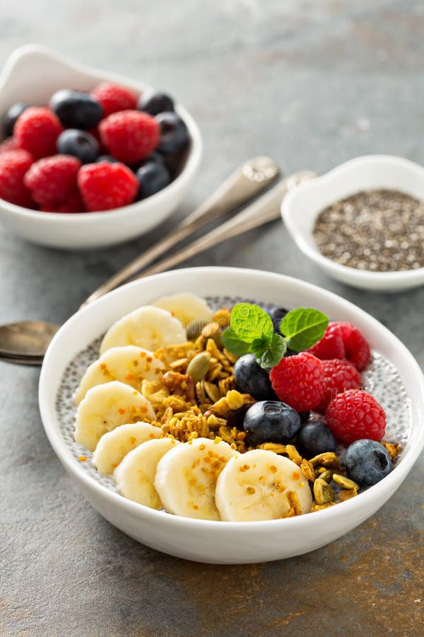 Vanilla Chia Pudding in a Bowl with Fresh Fruit Stock Image Image of