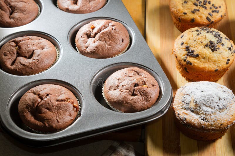Vanilla and Chocolate Muffins Stock Photo Image of food, circle 23676866