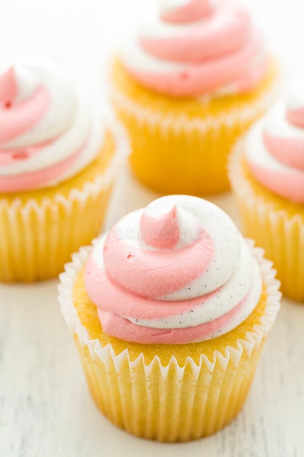 Birthday Cupcake stock image. Image of frosted, delicious - 33783377