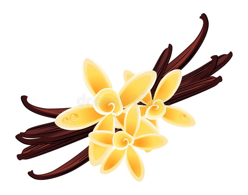 Flower vanilla. 