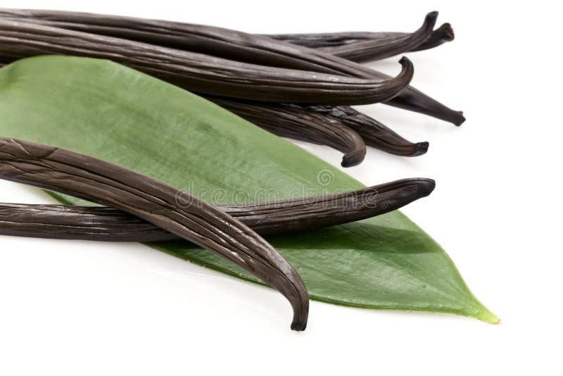 Vanilla pods royalty free stock photography