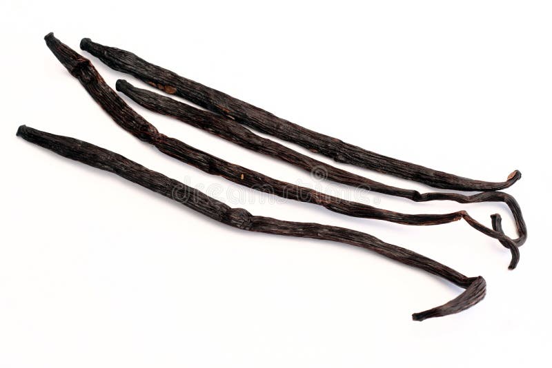 Vanilla pods stock image