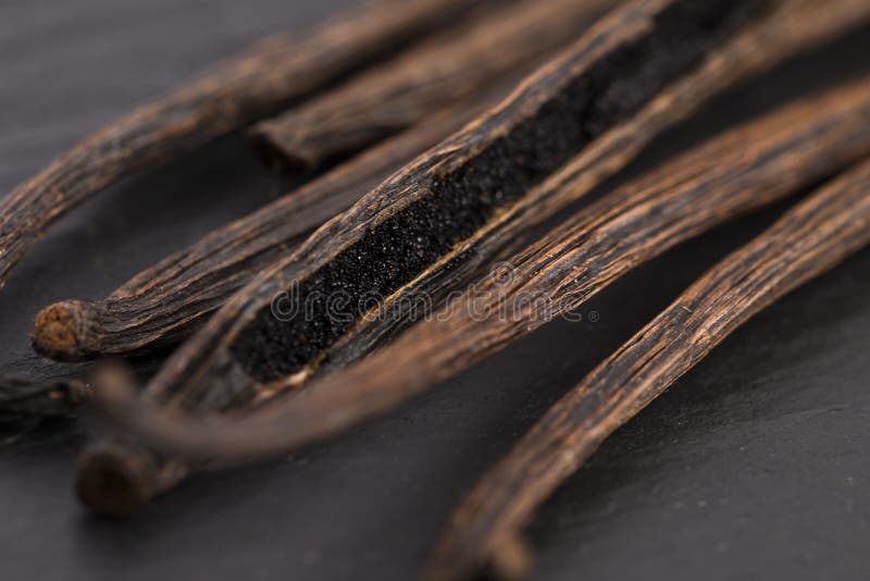 Vanilla pods stock image