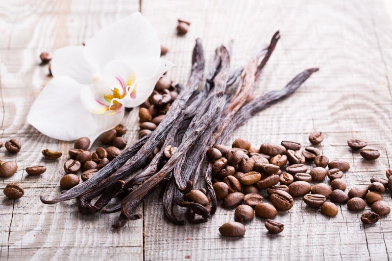 120 Vanilla Pods Coffee Beans Stock Photos Free & RoyaltyFree Stock