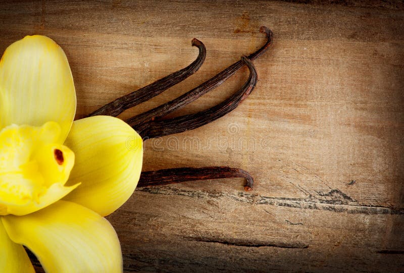 Vanilla Pods and Flower over Wood royalty free stock photo Vanilla Pods and Flower over Wood royalty free stock photo