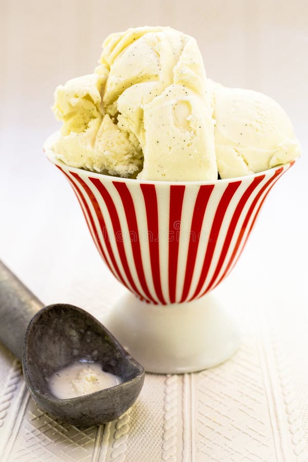 Vanille Bean Ice Cream photographie stock libre de droits Vanille Bean Ice Cream photographie stock libre de droits