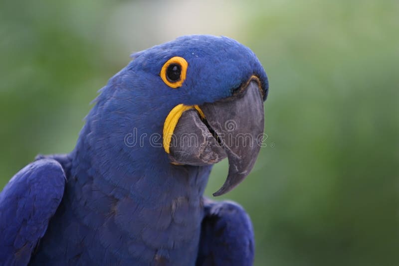 Vanishing stock image