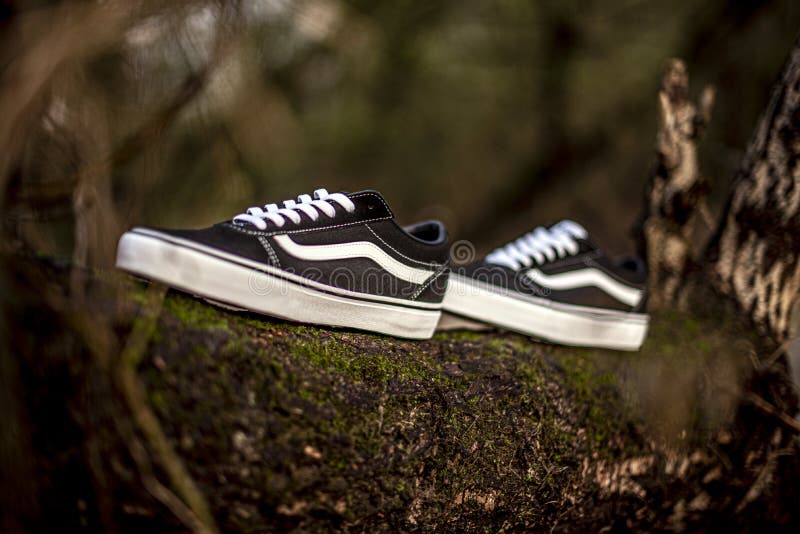 vans shoes near