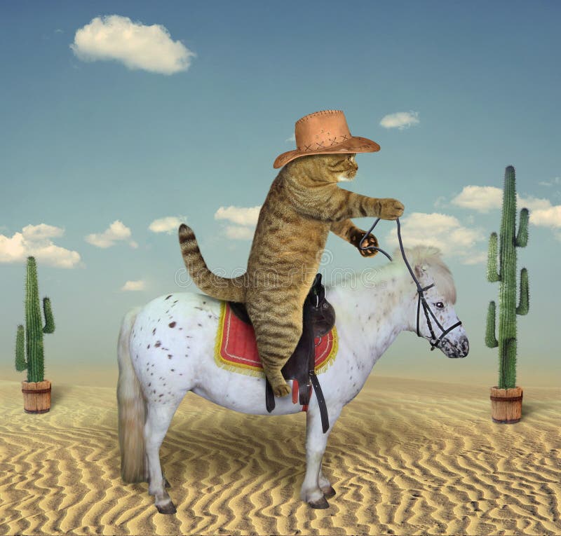 Vaqueiro do gato em um cavalo 3 ilustração stock Vaqueiro do gato em um cavalo 3 ilustração stock
