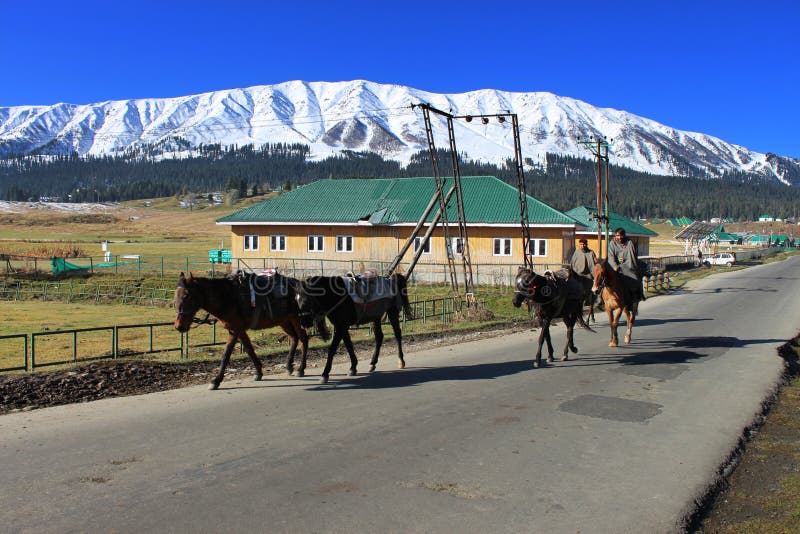 Vaqueiros que montam em seus cavalos em Gulmarg, Índia imagens de stock Vaqueiros que montam em seus cavalos em Gulmarg, Índia imagens de stock