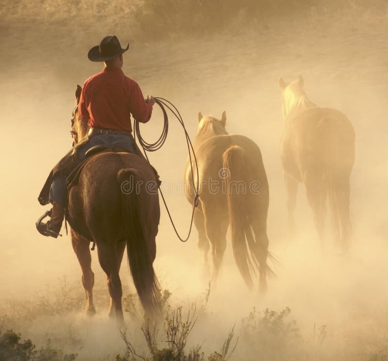 Vaquero en el polvo fotos de archivo libres de regalías