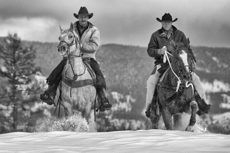 Vaqueros real foto editorial. Imagen de montana 36766816