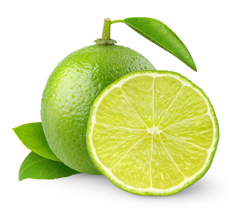 Var izolat. două linii tăiate izolate pe fond alb stock photos