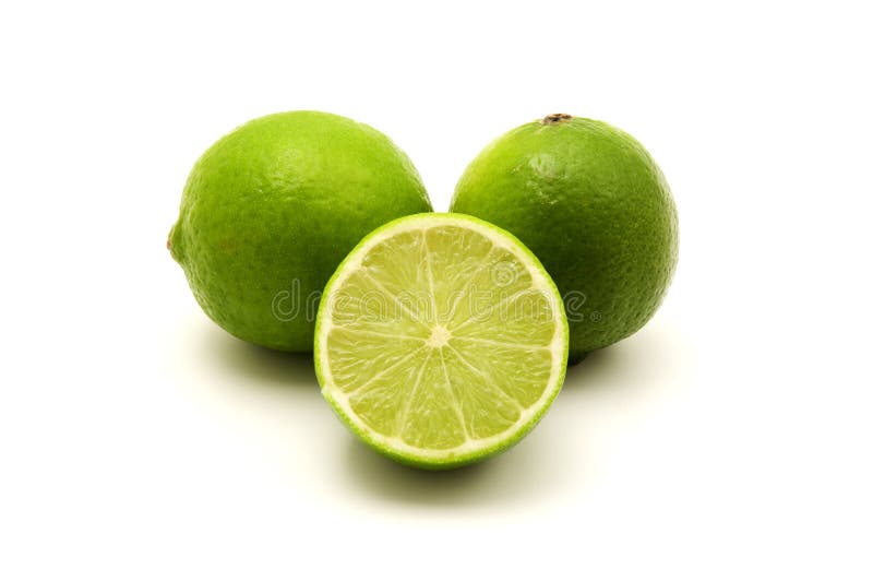 Var persic royalty free stock image