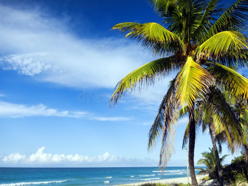 Varadero royalty free stock photos Varadero royalty free stock photos