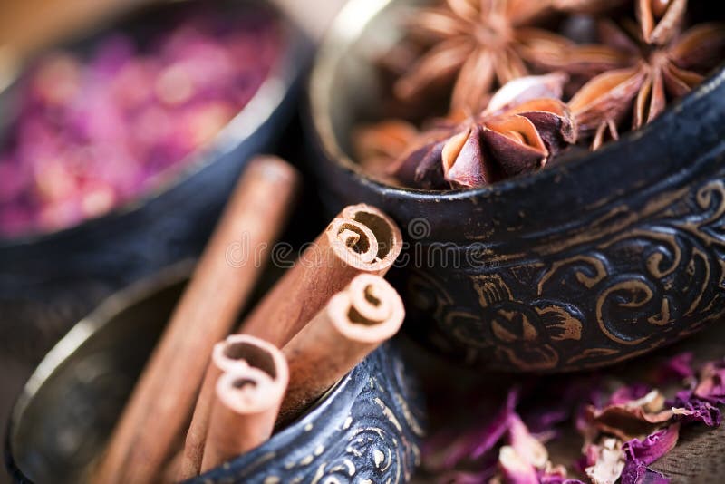 Pau de canela e aniz estrelado imagem de stock