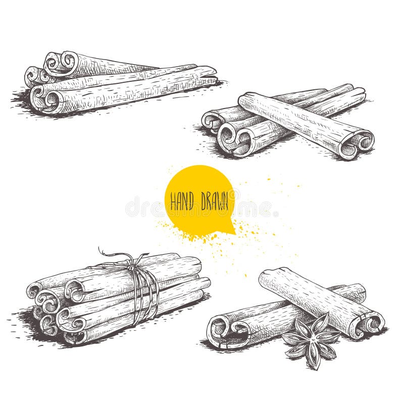 Varas de canela tiradas mão do estilo do esboço ajustadas Amarrado com guita, com anis de estrela e grupos Isolado no fundo branc ilustração stock Varas de canela tiradas mão do estilo do esboço ajustadas Amarrado com guita, com anis de estrela e grupos Isolado no fundo branc ilustração stock