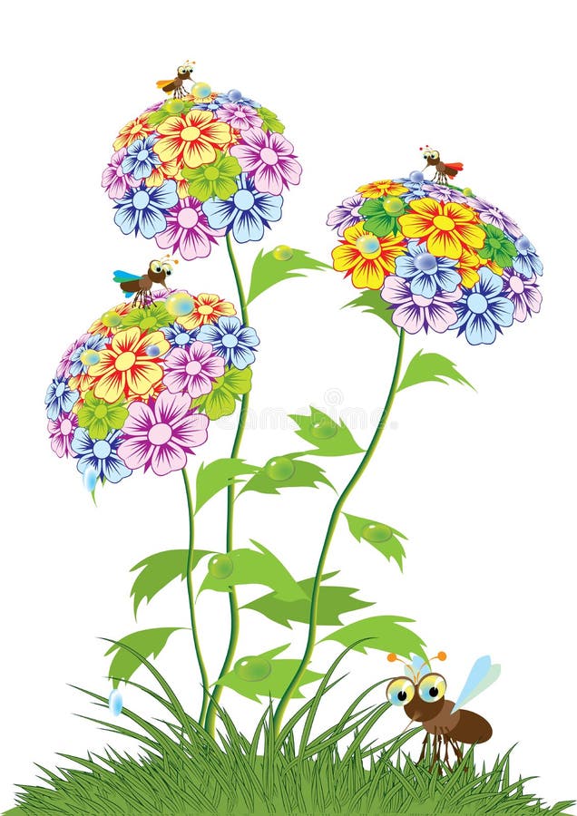 Varias flores del verano ilustración del vector. Ilustración de verano -  117405921