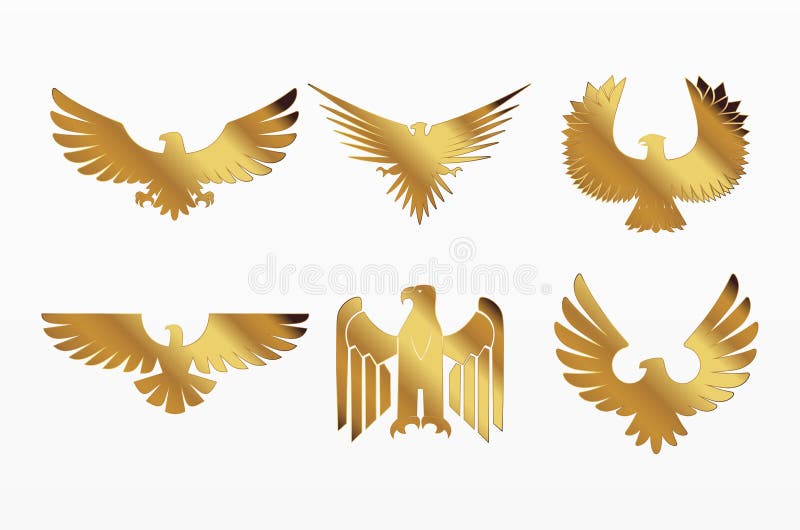 Variedad de águila dorada stock de ilustración. Ilustración de aristocracia  - 169623071
