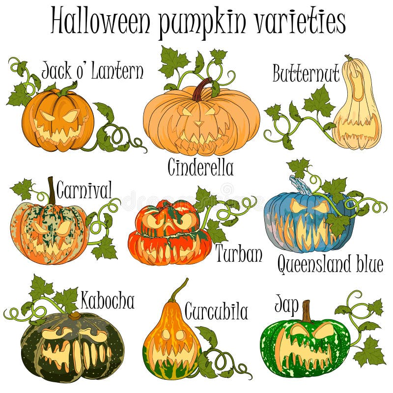 Títulos De Halloween Fijados Ilustración del Vector - Ilustración de  deletreado, halloween: 101902970