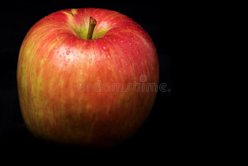 Variegated apple red and yellow with water drops on black background.  Partial View with copy space.