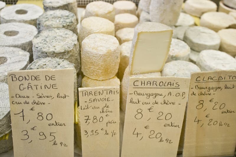 Varieties of different cheeses