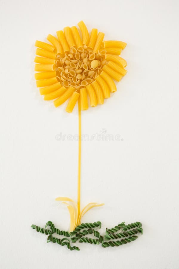Varieties of Pasta Forming Flower Stock Photo Image of fresh