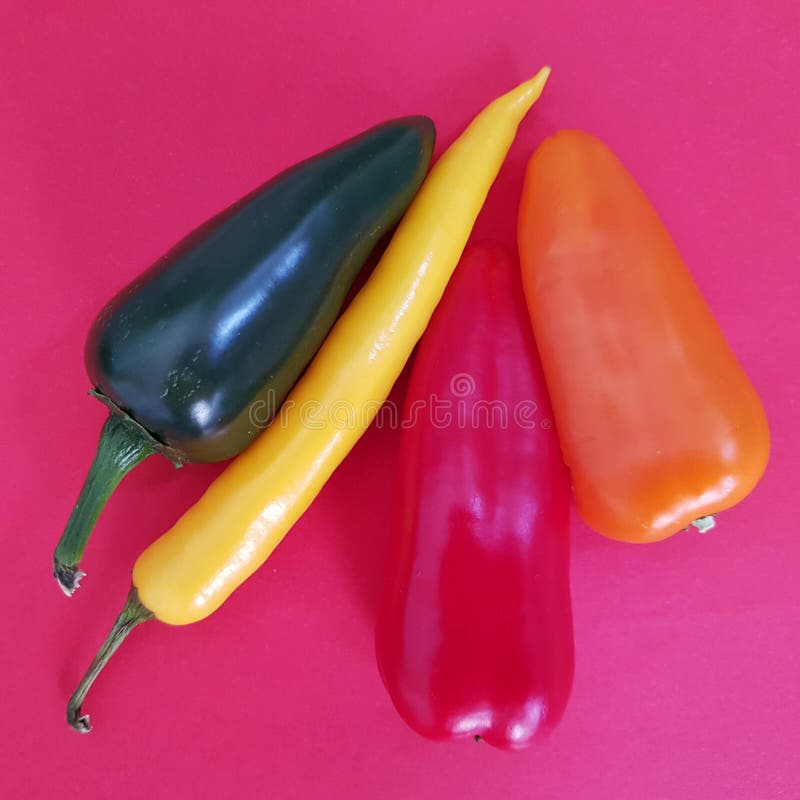 Peppers in different colors and sizes. Collection of bell peppers. Variety of bell pepper in different colors and sizes. Collection of bell peppers stock photography Peppers in different colors and sizes. Collection of bell peppers. Variety of bell pepper in different colors and sizes. Collection of bell peppers stock photography