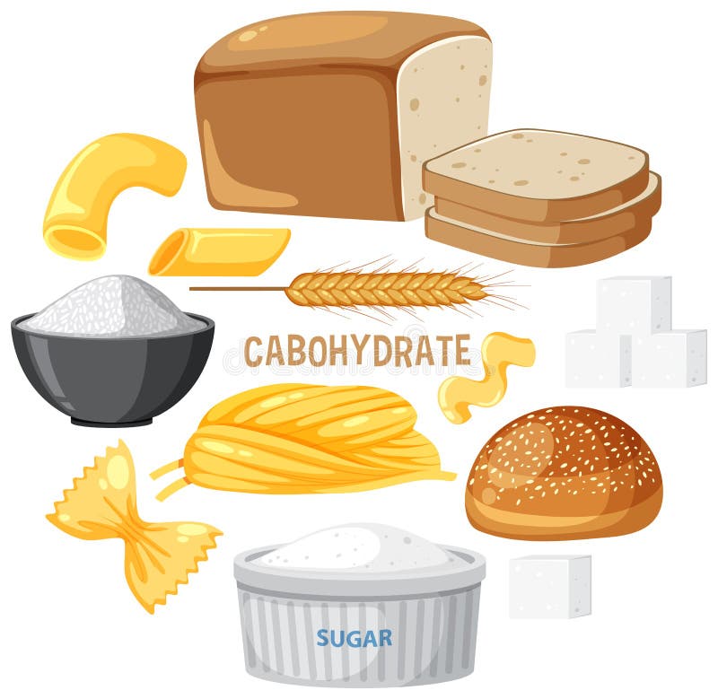 Variety Of Carbohydrates Foods Stock Vector Illustration Of Clip variety-of-carbohydrates-foods-stock-vector-illustration-of-clip