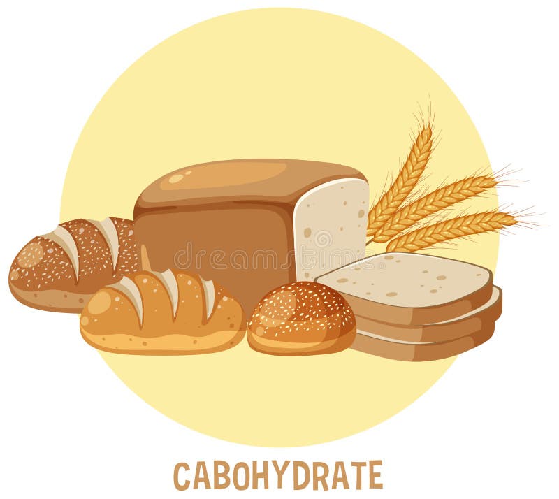 Variety of Carbohydrates Foods Stock Vector Illustration of food