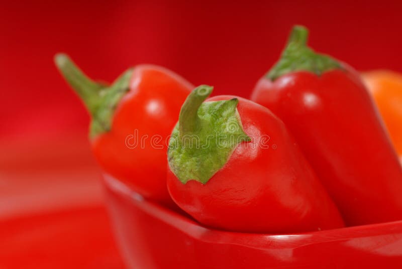 Variety of chili peppers