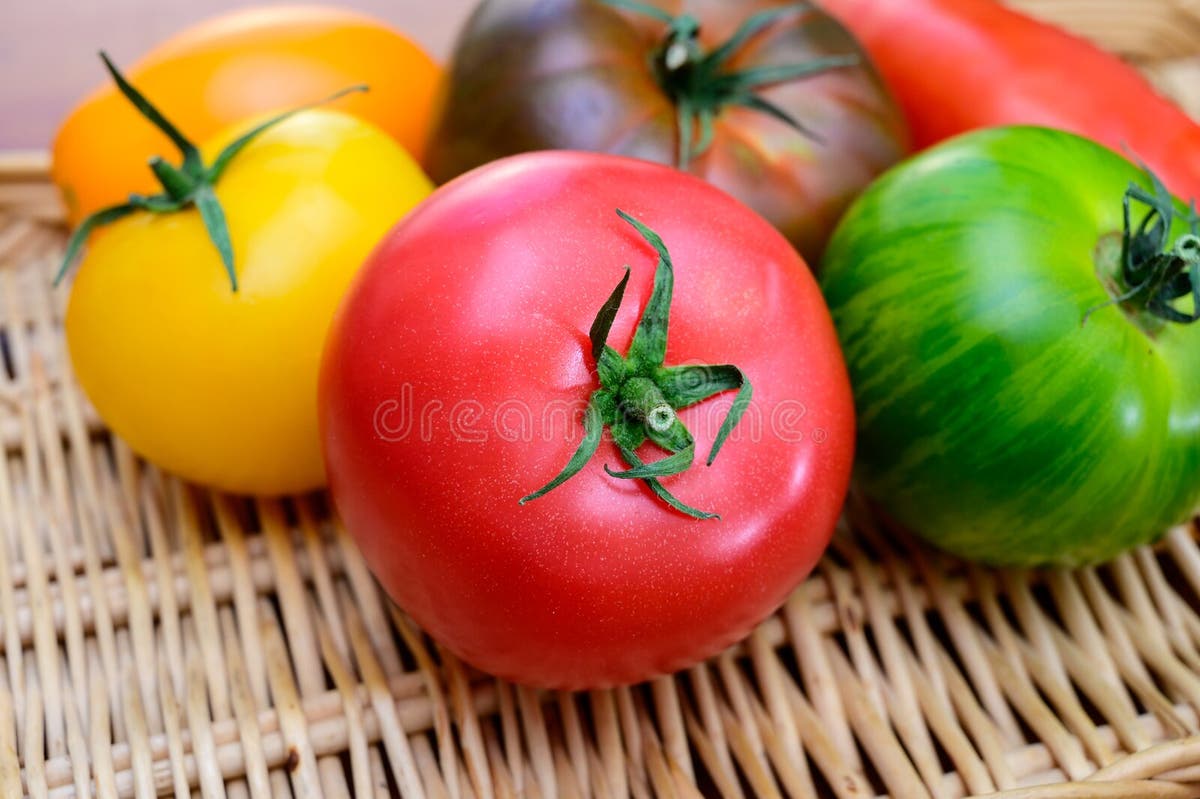 Cheese Collection, One Piece of Spanish Manchego Sheep Cheese with Rosemary Herb Stock Photo - Image of fresh, cheese: 156507096