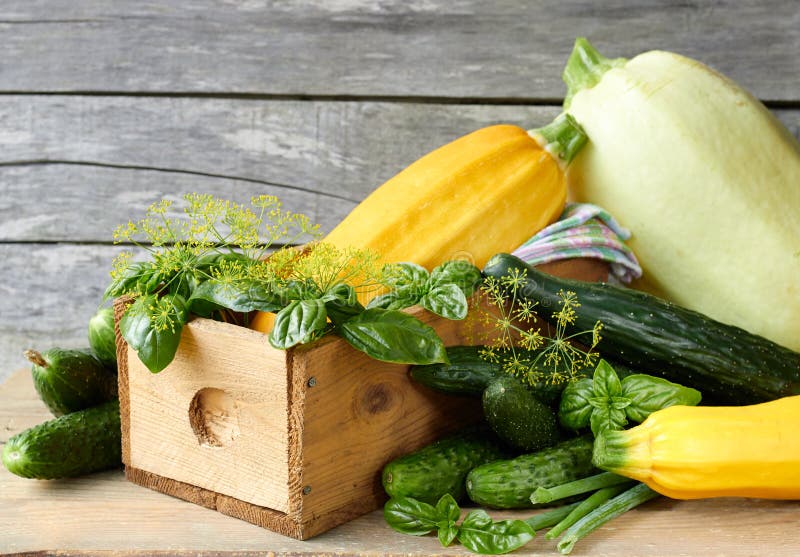 Variety of fresh spring and summer vegetables: cucumber, basil, zucchini, dill on rustic wooden background