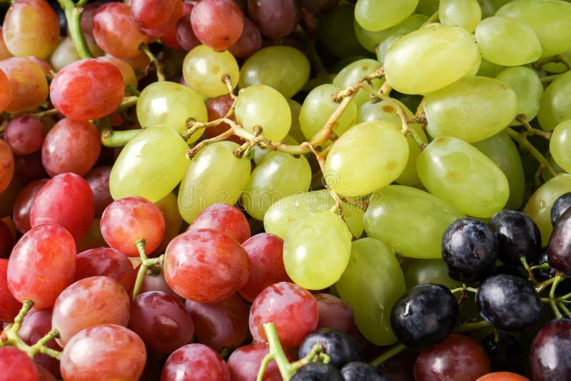 Variety of Fresh Sweet Grapes Stock Photo Image of healthy, berry
