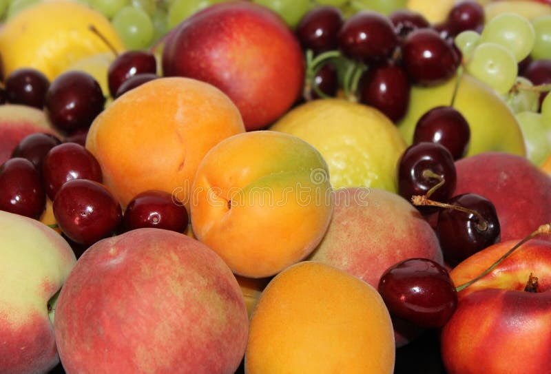 Variety of fruits and berries