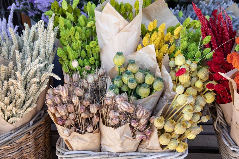 Variety of natural plant dried flowers home decoration eternal flower bouquets of wheat spikelets, poppy heads