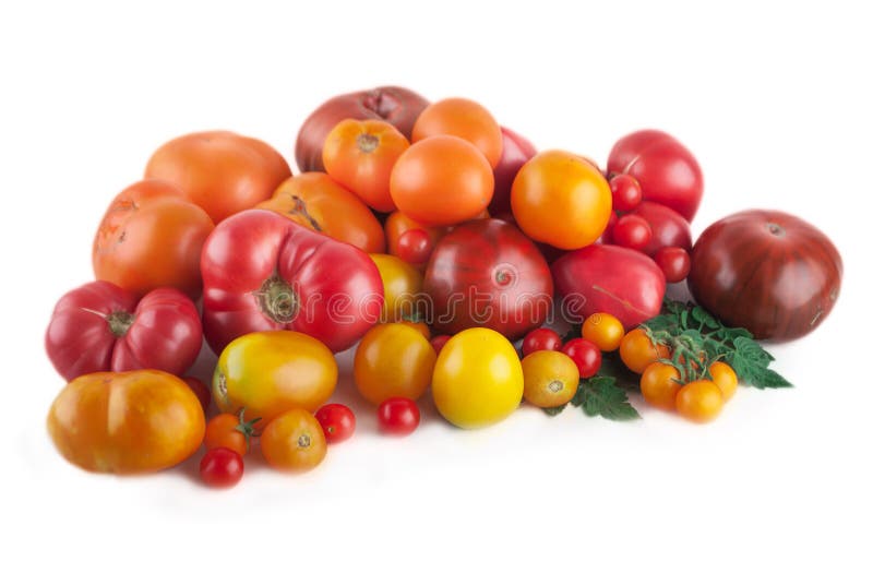 Variety of ripe tomatoes isolated