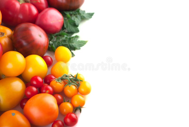 Variety of ripe tomatoes isolated